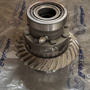 -دنده گرانویل و مجموعه هرزگرد ها داخل کله گاوی ماز - (A601085-01)